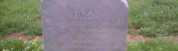 20010616_congressional_cemetery:
17_son_of_cochise