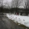 View the image: 100-0012_img