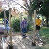 View the image: 100-0008_img