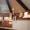 View the image: OLYMPUS DIGITAL CAMERA